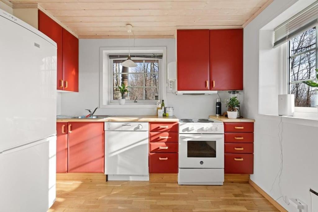 Appartement Pretty Close To Oslo *
